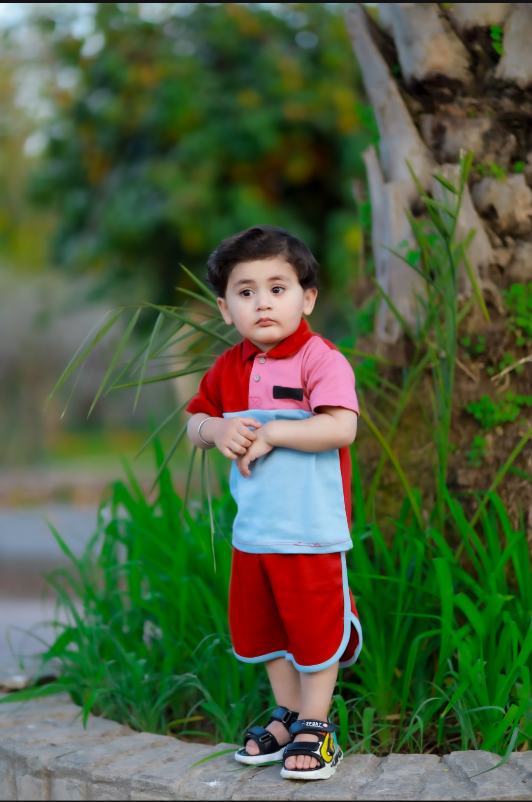 Plush-Baby Plaid Polo Shirt & Shorts-Blue-Red-Pink