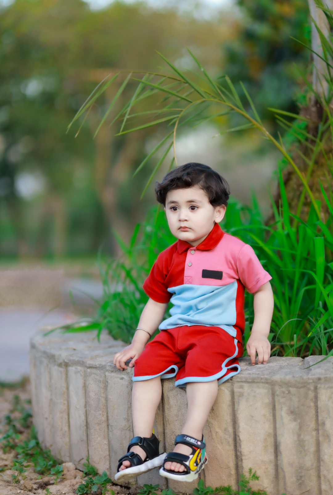 Plush-Baby Plaid Polo Shirt & Shorts-Blue-Red-Pink