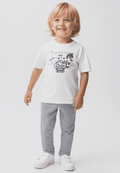Chinos Pants Grey