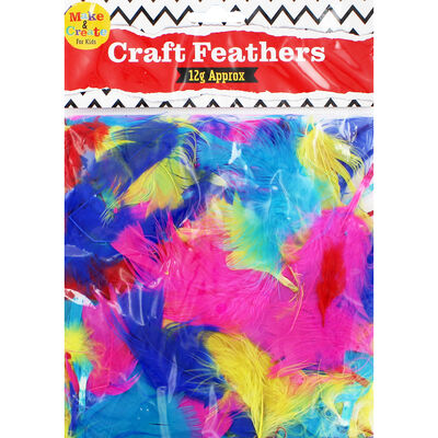 Assorted Coloured Feathers